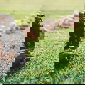 Pexels Steshkacroes 1661950